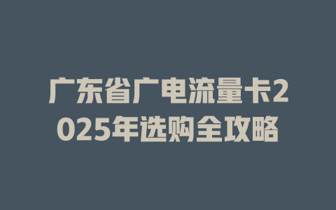 广东省广电流量卡2025年选购全攻略