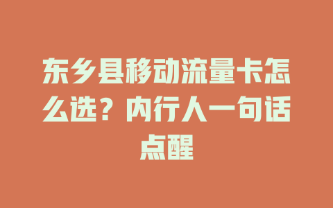 东乡县移动流量卡怎么选？内行人一句话点醒
