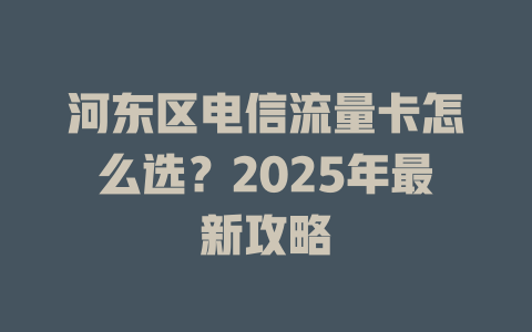 河东区电信流量卡怎么选？2025年最新攻略