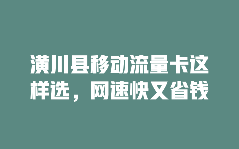 潢川县移动流量卡这样选，网速快又省钱