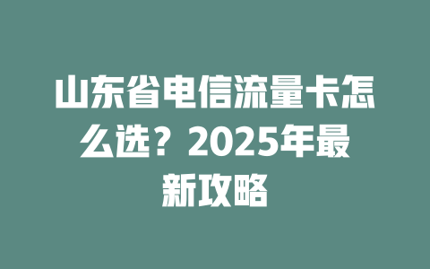 山东省电信流量卡怎么选？2025年最新攻略