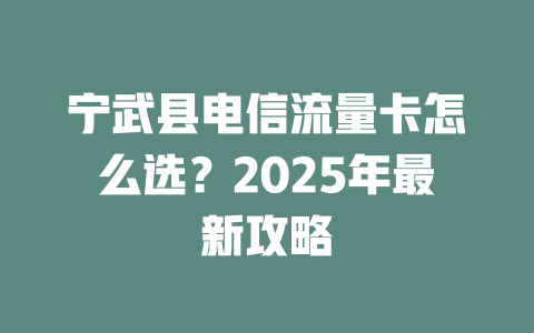 宁武县电信流量卡怎么选？2025年最新攻略