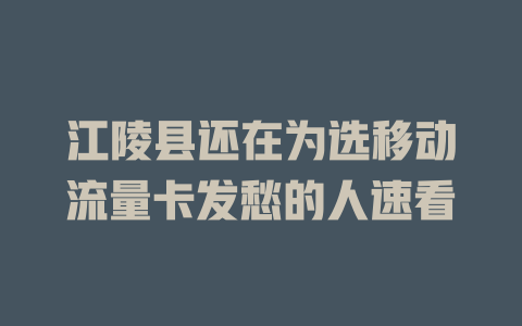 江陵县还在为选移动流量卡发愁的人速看