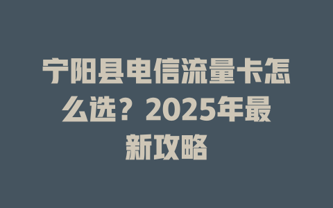 宁阳县电信流量卡怎么选？2025年最新攻略