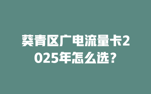葵青区广电流量卡2025年怎么选？