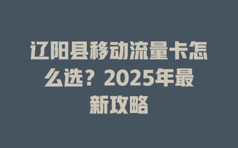 辽阳县移动流量卡怎么选？2025年最新攻略