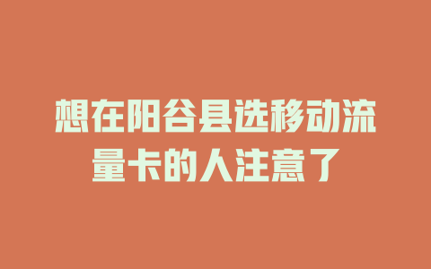 想在阳谷县选移动流量卡的人注意了