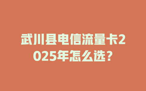 武川县电信流量卡2025年怎么选？