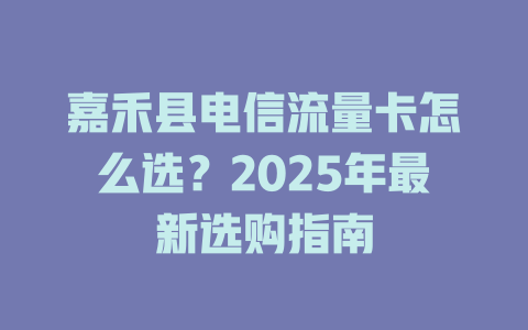 嘉禾县电信流量卡怎么选？2025年最新选购指南
