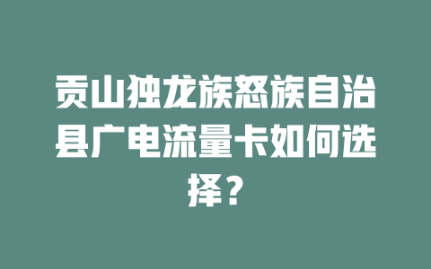 贡山独龙族怒族自治县广电流量卡如何选择？