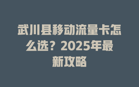 武川县移动流量卡怎么选？2025年最新攻略