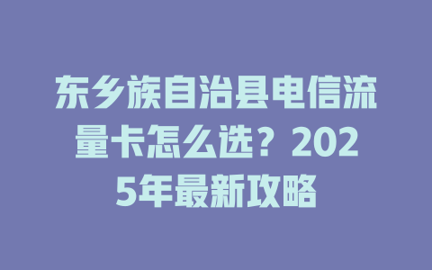 东乡族自治县电信流量卡怎么选？2025年最新攻略