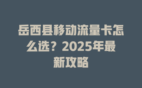 岳西县移动流量卡怎么选？2025年最新攻略