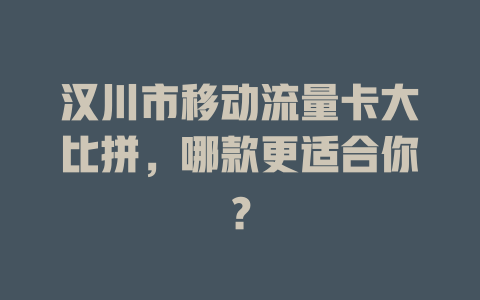 汉川市移动流量卡大比拼，哪款更适合你？