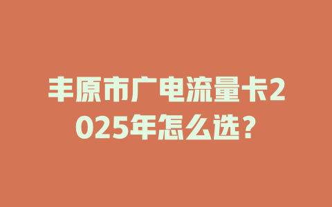 丰原市广电流量卡2025年怎么选？