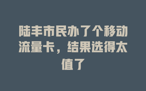 陆丰市民办了个移动流量卡，结果选得太值了