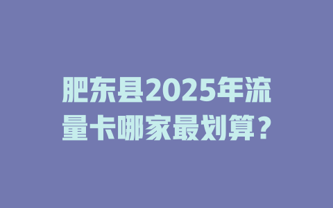 肥东县2025年流量卡哪家最划算？
