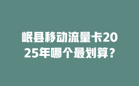 岷县移动流量卡2025年哪个最划算？