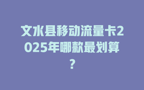 文水县移动流量卡2025年哪款最划算？