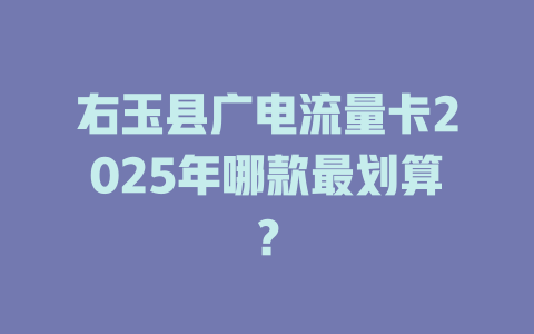 右玉县广电流量卡2025年哪款最划算？