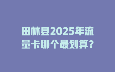 田林县2025年流量卡哪个最划算？