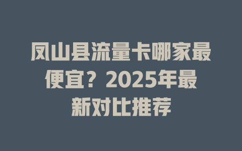 凤山县流量卡哪家最便宜？2025年最新对比推荐