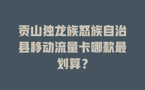 贡山独龙族怒族自治县移动流量卡哪款最划算？