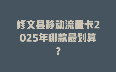 修文县移动流量卡2025年哪款最划算？