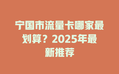 宁国市流量卡哪家最划算？2025年最新推荐