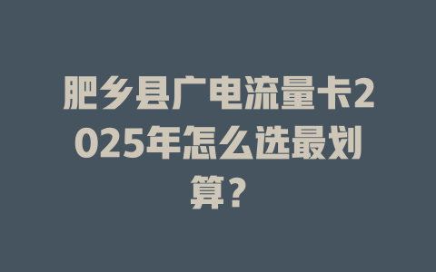 肥乡县广电流量卡2025年怎么选最划算？