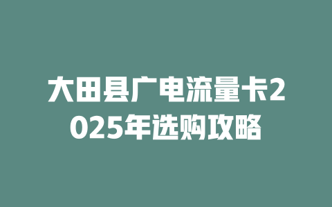 大田县广电流量卡2025年选购攻略