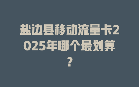盐边县移动流量卡2025年哪个最划算？