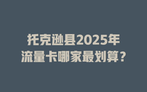 托克逊县2025年流量卡哪家最划算？