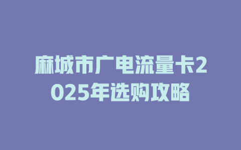 麻城市广电流量卡2025年选购攻略