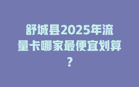 舒城县2025年流量卡哪家最便宜划算？