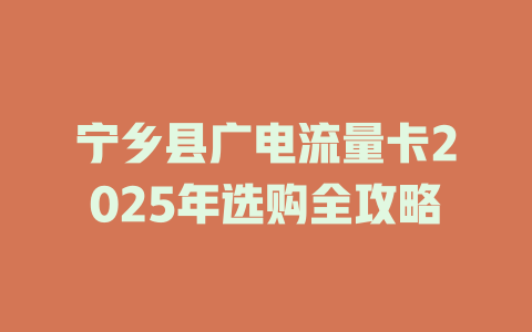 宁乡县广电流量卡2025年选购全攻略