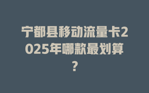 宁都县移动流量卡2025年哪款最划算？