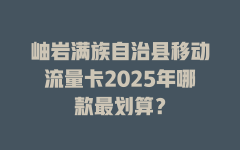 岫岩满族自治县移动流量卡2025年哪款最划算？
