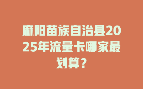 麻阳苗族自治县2025年流量卡哪家最划算？