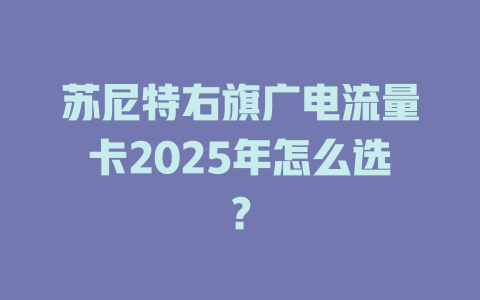 苏尼特右旗广电流量卡2025年怎么选？