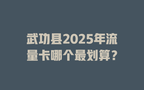 武功县2025年流量卡哪个最划算？