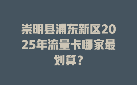 崇明县浦东新区2025年流量卡哪家最划算？