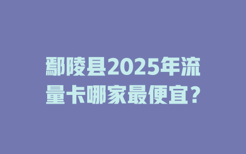鄢陵县2025年流量卡哪家最便宜？
