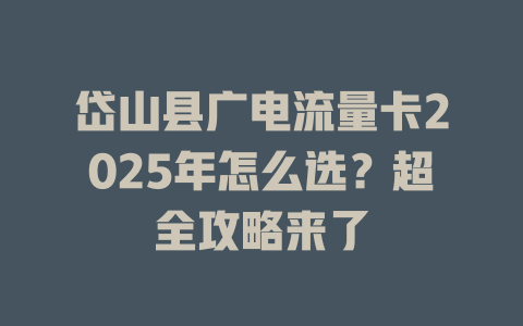 岱山县广电流量卡2025年怎么选？超全攻略来了
