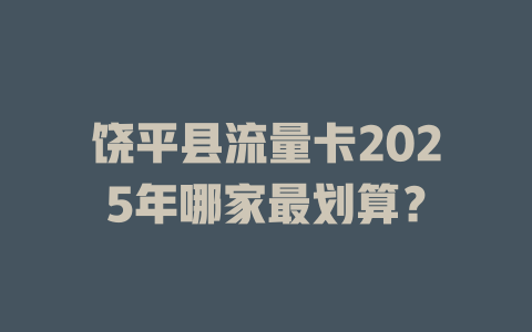 饶平县流量卡2025年哪家最划算？