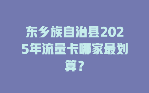 东乡族自治县2025年流量卡哪家最划算？