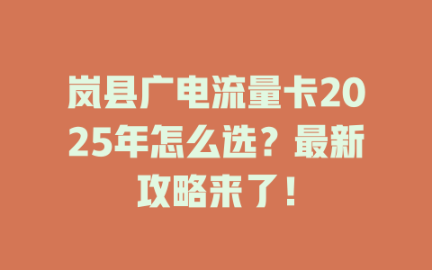 岚县广电流量卡2025年怎么选？最新攻略来了！