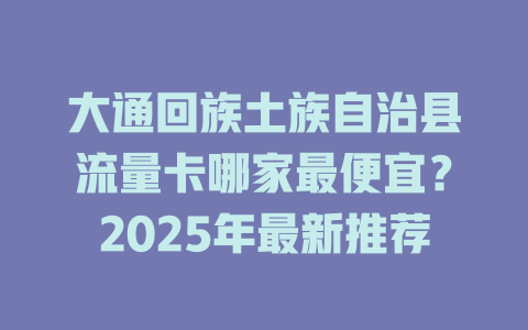 大通回族土族自治县流量卡哪家最便宜？2025年最新推荐