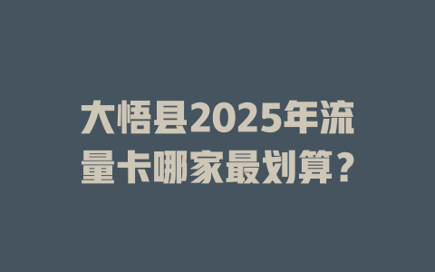 大悟县2025年流量卡哪家最划算？