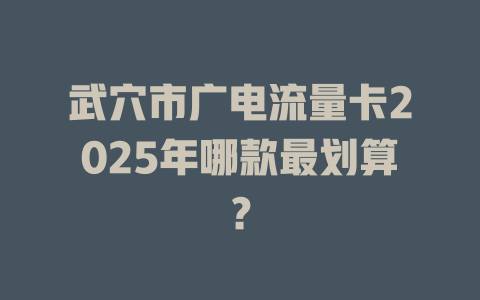 武穴市广电流量卡2025年哪款最划算？